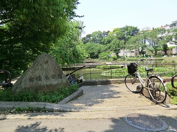 周辺環境:白幡池公園(白幡池公園まで180m 休日にはご家族で楽しめます♪)