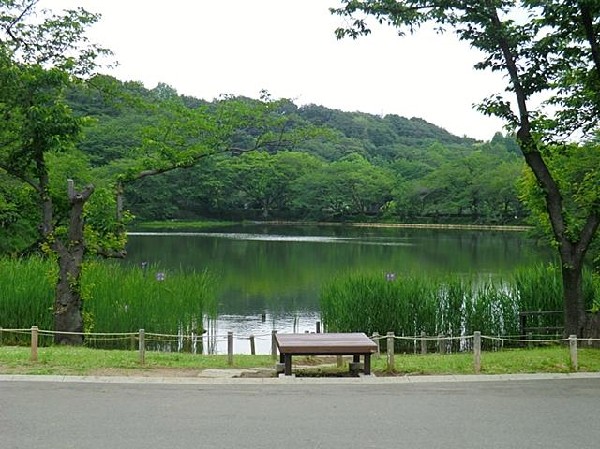 周辺環境:三ツ池公園(春には1600本の桜が開花する名所。テニスコート、プール、ロング滑り台等があり1日中楽しめます。)