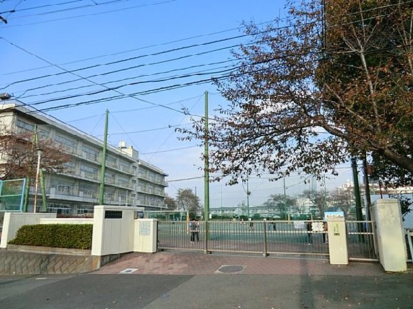 周辺環境:横浜市立平戸台小学校(横浜市立平戸台小学校まで240m)