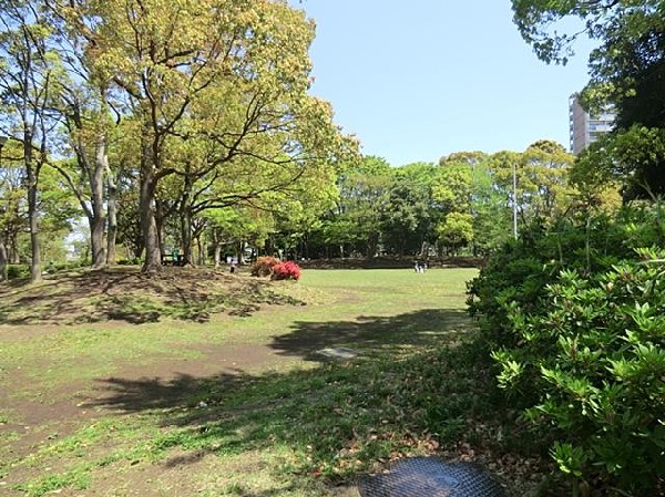 周辺環境:港南台中央公園(港南台中央公園まで900m お子様との日々のお散歩コースにいかがでしょうか！)