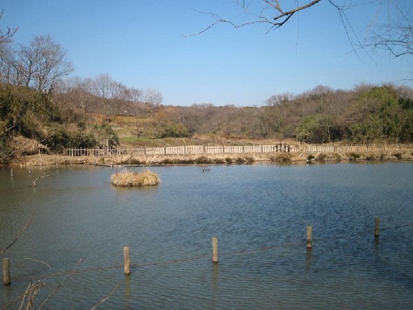 周辺環境:舞岡公園(舞岡公園まで850m)