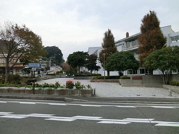 周辺環境:本牧中学校(本牧中学校まで1000m 中学校でスポーツに勉強に励みましょう♪)