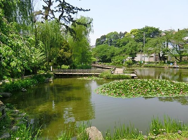 周辺環境:白幡池公園(白幡池公園まで170m)