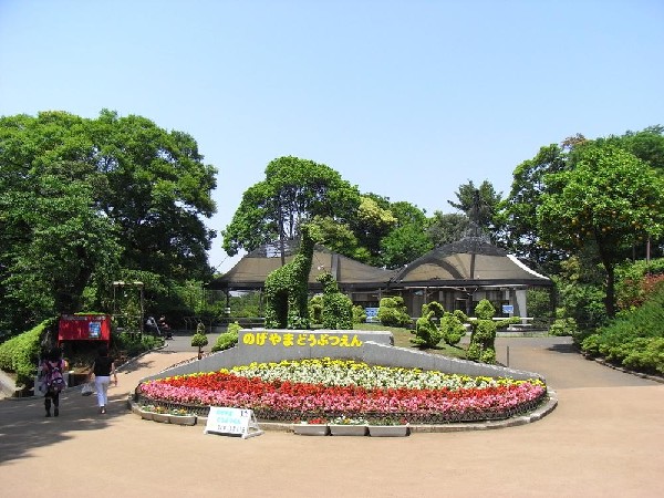 周辺環境:野毛山動物園(野毛山動物園まで800m)