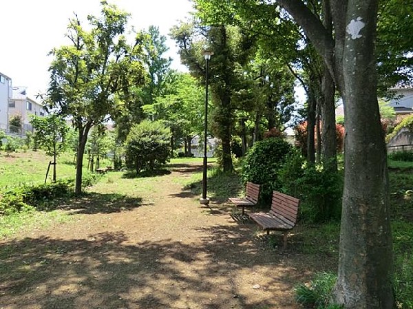 周辺環境:今宿公園(今宿公園まで1400m)