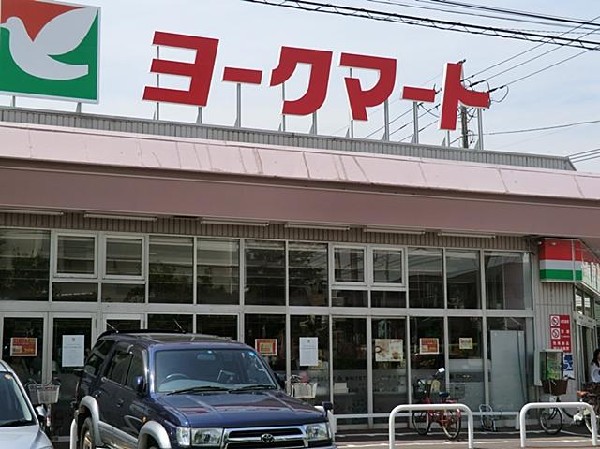 周辺環境:ヨークマート大倉山店(ヨークマート大倉山店まで450m)