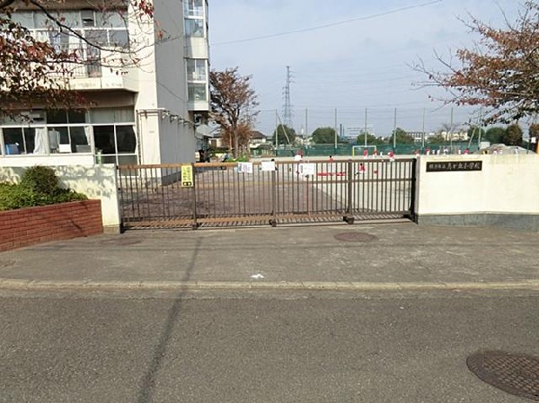 周辺環境:横浜市立鳥が丘小学校(横浜市立鳥が丘小学校まで800m)