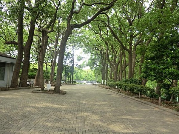 周辺環境:常盤公園(常盤公園まで500m)