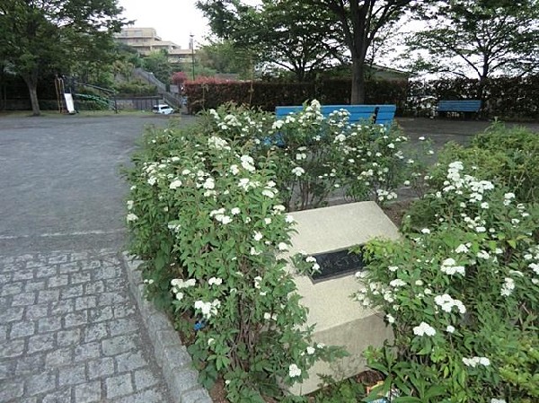 周辺環境:馬場七丁目公園(馬場七丁目公園まで450m)