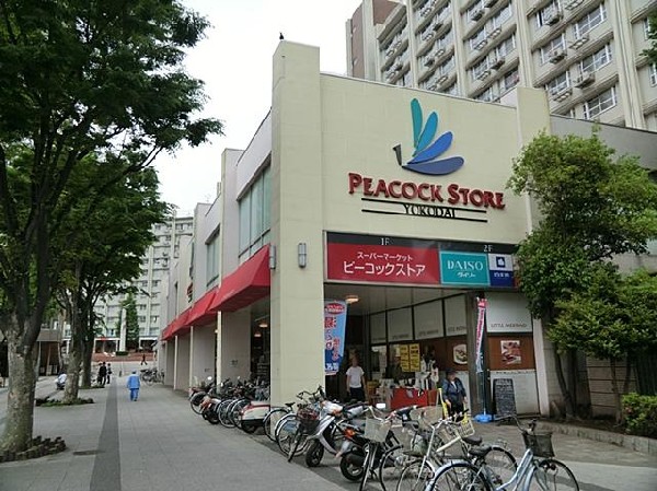 周辺環境:ピーコックストア洋光台店(ピーコックストア洋光台店まで850m)