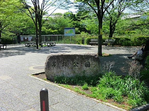 周辺環境:岸根公園(広々とした芝生広場や桜が綺麗な篠原池のほか、野球場、県立武道館などがあります。「忍者とりで」は、吊り橋などの複合遊具があり、子どもたちに人気のスポットです。)