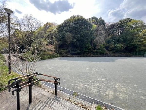 周辺環境:菅田いでと公園(自然豊かな静かな公園。野球ができる広場と、遊歩道があります。四季折々の草花や生き物を観察できます。)