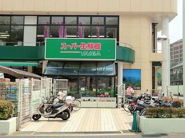 周辺環境:TAIGA岡津店(TAIGA岡津店まで850m)