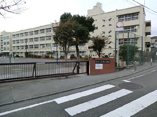 周辺環境:横浜市立山下小学校(横浜市立山下小学校まで1200m)