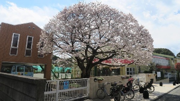 周辺環境:認定こども園いづみ幼稚園(認定こども園いづみ幼稚園まで660m)