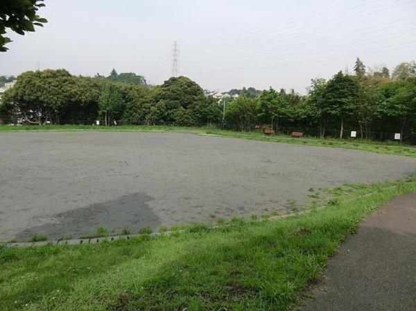 周辺環境:白根東公園(白根東公園まで500m)