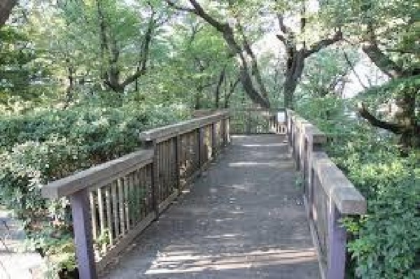 周辺環境:神之木公園(神之木公園まで400m)