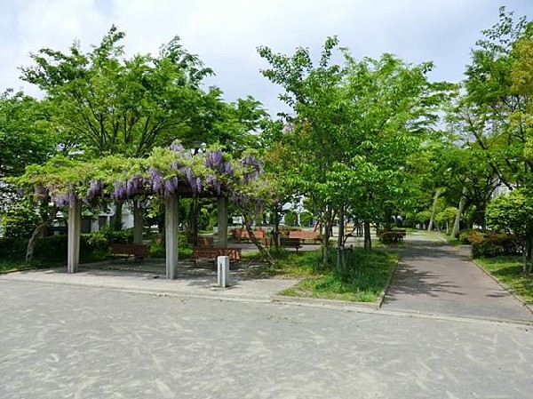 周辺環境:桂台第五公園(桂台第五公園まで600m)