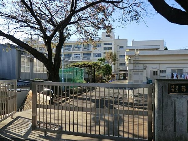 周辺環境:横浜市立篠原小学校(横浜市立篠原小学校まで700m)