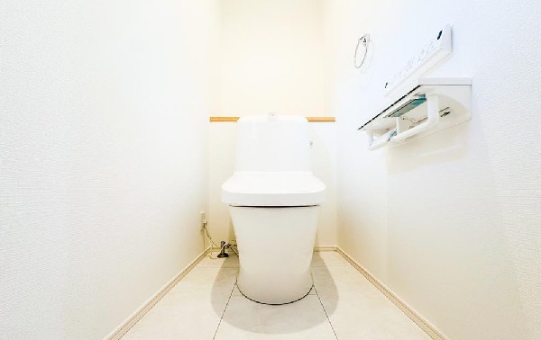 スッキリとしたデザインのトイレは明かり取りの窓からも光が取り込まれ日中は電気を消していてもご使用いただける明るさとなっております。