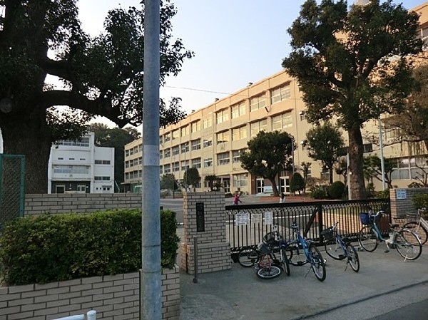 周辺環境:横浜市立新井小学校