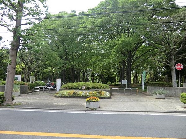 周辺環境:根岸森林公園(根岸森林公園まで400m 公園近くでお子様も安心して遊べます♪)