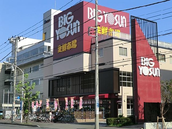 周辺環境:ビッグヨーサン綱島樽町店(ビッグヨーサン綱島樽町店まで1100m)