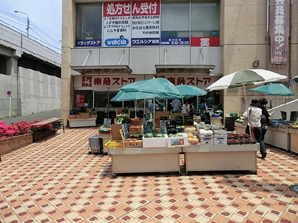 周辺環境:東急ストア藤が丘店(東急ストア藤が丘店まで900m)
