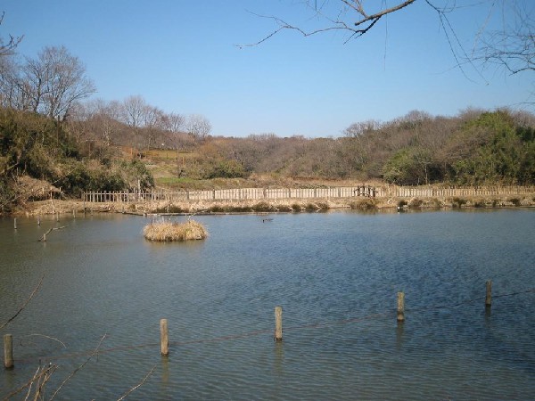 周辺環境:舞岡公園(舞岡公園まで550m)