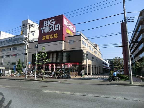 周辺環境:ビッグヨーサン綱島樽町店(ビッグヨーサン綱島樽町店まで1900ｍ)