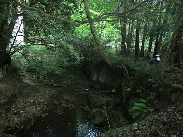 周辺環境:陣ヶ下渓谷公園(陣ヶ下渓谷公園まで350m)