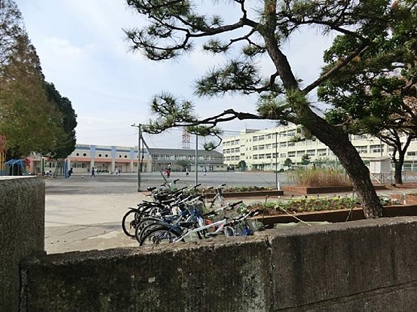 周辺環境:横浜市立東希望が丘小学校(横浜市立東希望が丘小学校まで600m)