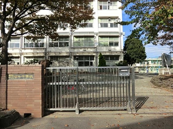 周辺環境:横浜市立樽町中学校(横浜市立樽町中学校まで1800m)