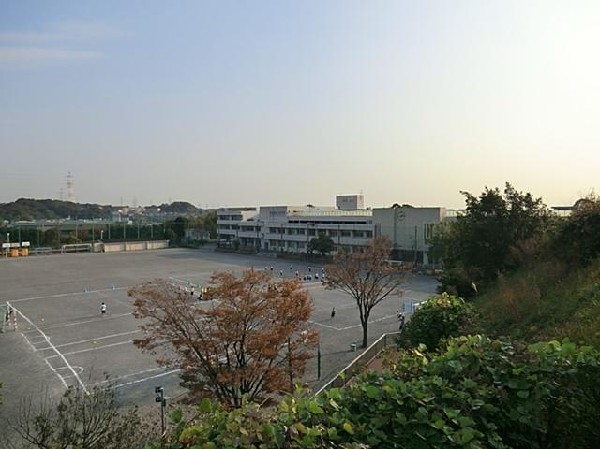 周辺環境:横浜市立秋葉中学校(横浜市立秋葉中学校まで600m)