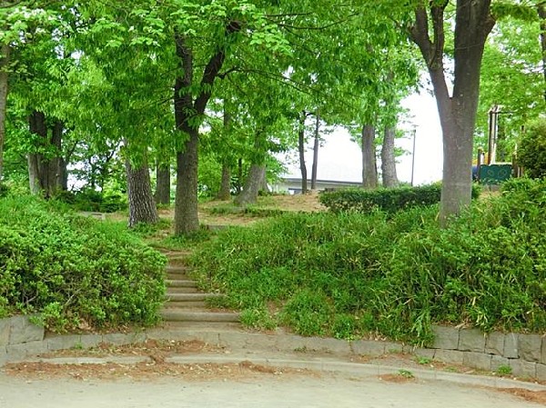 周辺環境:橋戸南第三公園(橋戸南第三公園まで250m)