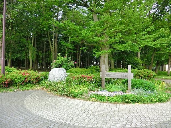 周辺環境:南台こどものもり公園(南台こどものもり公園まで450m)