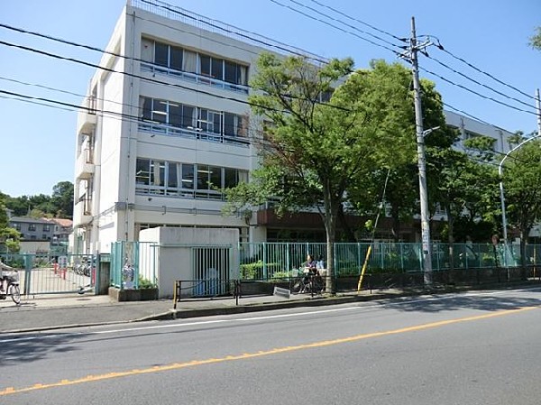 周辺環境:川崎市立野川小学校(川崎市立野川小学校まで1200m)