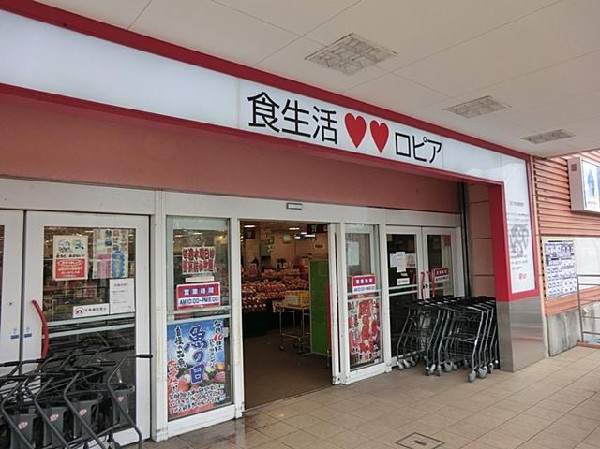 周辺環境:ロピアいずみ中央店(ロピアいずみ中央店まで450m)