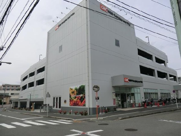 周辺環境:オーケー新子安店(オーケー新子安店まで600m)