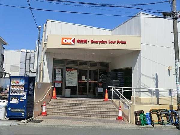 周辺環境:オーケー妙蓮寺店(オーケー妙蓮寺店まで300m)
