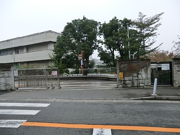 周辺環境:横浜市立松本中学校