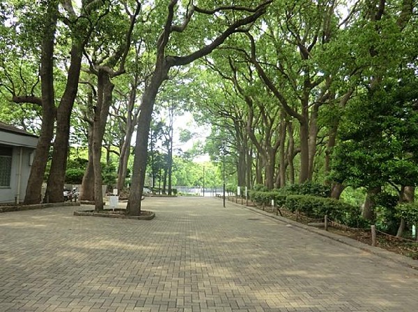 周辺環境:常盤公園(常盤公園まで450m)