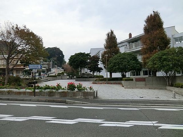 周辺環境:横浜市立本牧中学校(横浜市立本牧中学校まで1300m)