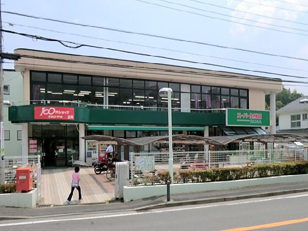 周辺環境:TAIGA岡津店(TAIGA岡津店まで1600m)