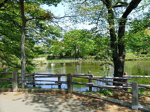 周辺環境:菊名池公園(菊名池公園まで220m 公園近くでお子様も安心して遊べます♪)