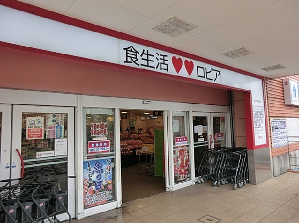 周辺環境:ロピアいずみ中央店