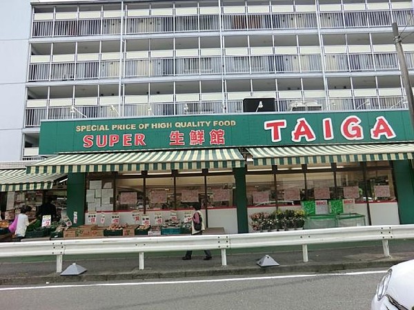 周辺環境:タイガ永田店(タイガ永田店まで850m)