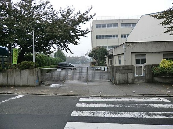 周辺環境:横浜市立浦島小学校(横浜市立浦島小学校まで260m)