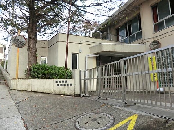 周辺環境:横浜市立菊名小学校(横浜市立菊名小学校まで800m)