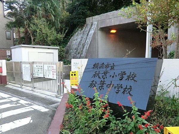 周辺環境:横浜市立秋葉小学校(横浜市立秋葉小学校まで240ｍ)
